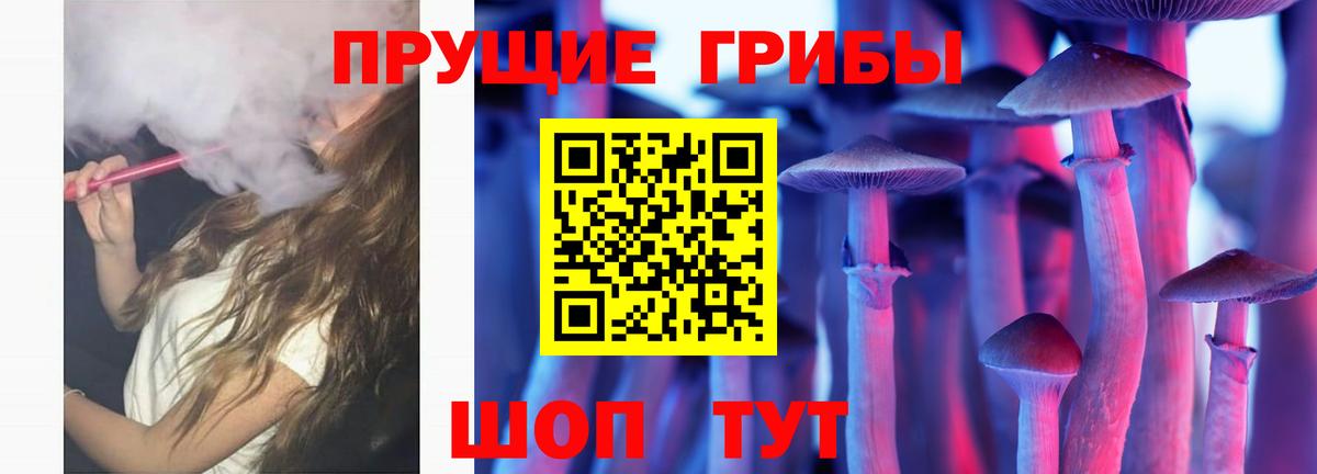 Галлюциногенные грибы мухоморы Камышин
